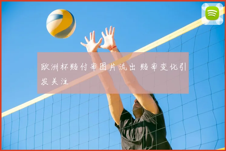 欧洲杯赔付率图片流出 赔率变化引发关注