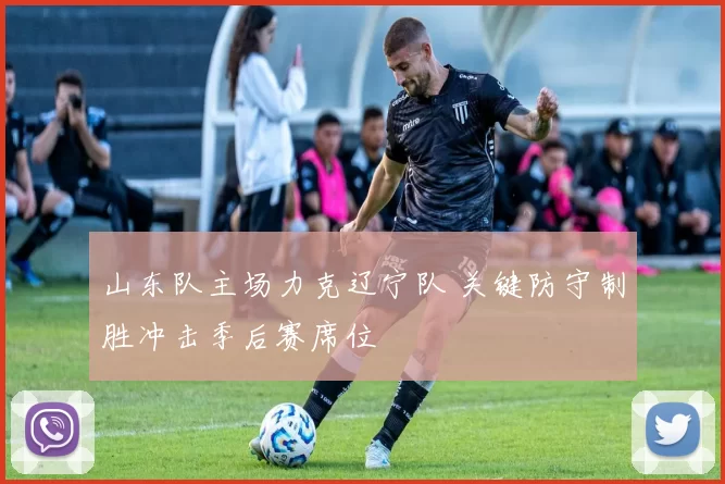 山东队主场力克辽宁队 关键防守制胜冲击季后赛席位